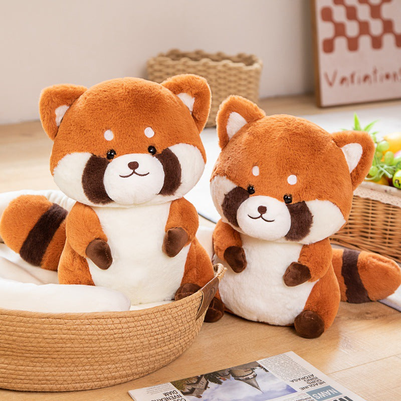 Peluche Raton laveur